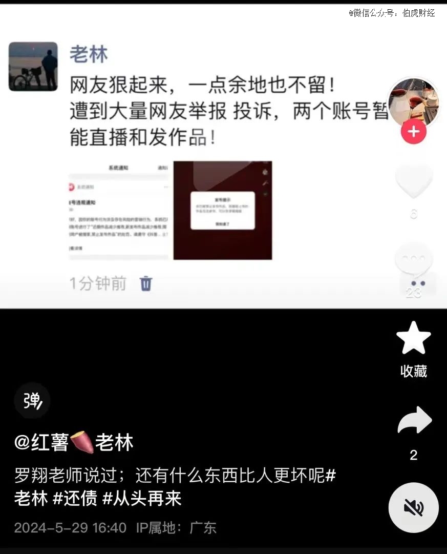 罗永浩和高晓松__罗永浩直播间钟薛高价格